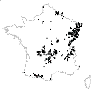 Balsamina noli-tangere (L.) Scop. - carte des observations