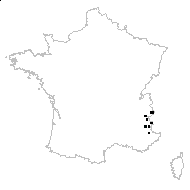 Oxytropis fetida (Vill.) DC. subsp. fetida - carte des observations