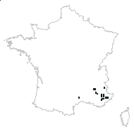 Paeonia foeminea (L.) Mill. - carte des observations