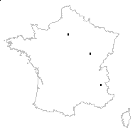 Papaver intermedium DC. - carte des observations