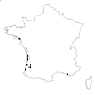 Caropsis verticillato-inundata (Thore) Rauschert - carte des observations
