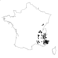 Caryophyllus aridus Moench - carte des observations