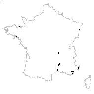 Peucedanum officinale L. subsp. officinale var. officinale - carte des observations