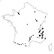 Phyteuma orbiculare L. subsp. orbiculare - carte des observations