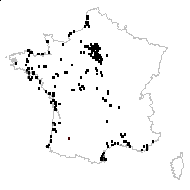 Plantago coronopus L. subsp. coronopus - carte des observations