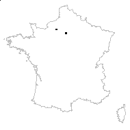 Populus simonii Carrière - carte des observations