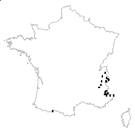 Potentilla grandiflora L. var. grandiflora - carte des observations