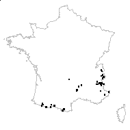 Drymocallis rupestris (L.) Soják subsp. rupestris - carte des observations