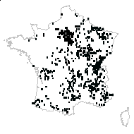 Primula veris L. subsp. veris - carte des observations