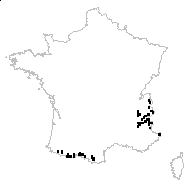 Hornungia alpina (L.) O.Appel subsp. alpina - carte des observations