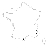 Cynoglossum dioscoridis Vill. - carte des observations