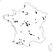 Ranunculus acris L. subsp. acris - carte des observations