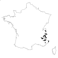 Ranunculus kuepferi Greuter & Burdet - carte des observations