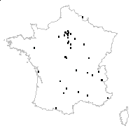 Rhus typhina L. - carte des observations