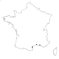 Heliotropium curassavicum L. - carte des observations