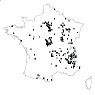 Zeia canina (L.) Lunell - carte des observations