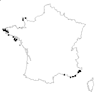 Ixia parviflora Salisb. - carte des observations