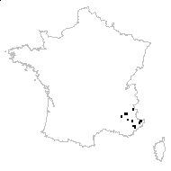 Buglossoides arvensis subsp. permixta (Jord.) R.Fern. - carte des observations