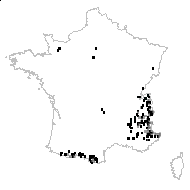 Myosotis acutata Gand. - carte des observations
