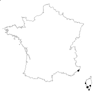 Carpobrotus acinaciformis (L.) L.Bolus - carte des observations