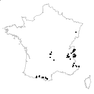 Rumex arifolius All. subsp. arifolius - carte des observations