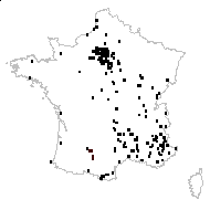 Rumex crispus L. var. crispus - carte des observations