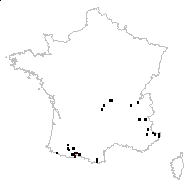 Myosotis decumbens Host - carte des observations