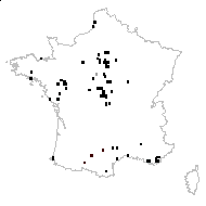 Myosotis arvensis var. versicolor Pers. - carte des observations