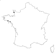 Sarcathria procumbens (Sm.) Raf. - carte des observations