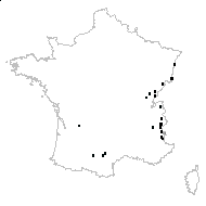 Salix myrsinifolia Salisb. subsp. myrsinifolia - carte des observations