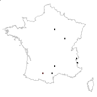 Salix purpurea L. subsp. purpurea - carte des observations