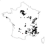 Salvia pratensis L. subsp. pratensis - carte des observations