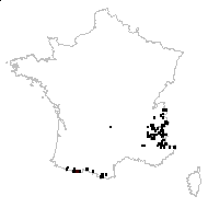 Saxifraga oppositifolia L. subsp. oppositifolia - carte des observations