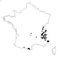 Saxifraga rotundifolia L. subsp. rotundifolia var. rotundifolia - carte des observations