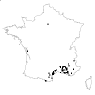 Podospermum laciniatum (L.) DC. var. laciniatum - carte des observations