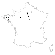 Buglossum sempervirens (L.) All. - carte des observations