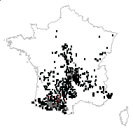 Pulmonaria officinalis subsp. affinis (Jord.) Douin - carte des observations