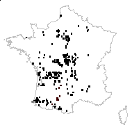 Pulmonaria longifolia (Bastard) Boreau - carte des observations