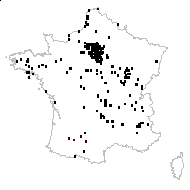 Senecio jacobaea L. subsp. jacobaea - carte des observations