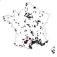 Asterophyllum scherardianum Schimp. & Spenn. - carte des observations