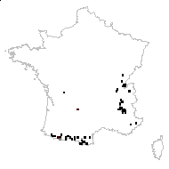 Sideritis hyssopifolia L. - carte des observations