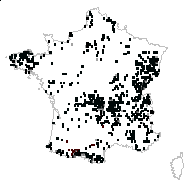 Silene dioica (L.) Clairv. - carte des observations