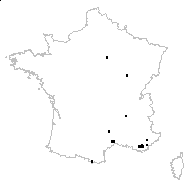 Sisymbrella aspera (L.) Spach - carte des observations
