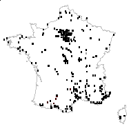 Sisymbrium ruderale Jord. - carte des observations