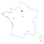 Solanum physalifolium Rusby - carte des observations