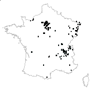 Solidago glabra subsp. canadensis (L.) Bonnier - carte des observations