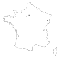 Sorbus ×thuringiaca (Ilse) Fritsch - carte des observations