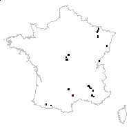 Thalictrum minus L. subsp. minus - carte des observations