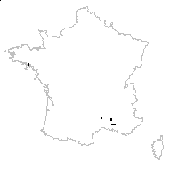 Torilis africana Spreng. - carte des observations