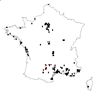 Caucalis nodosa Delarbre - carte des observations